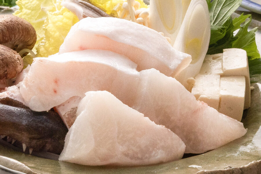 天然本くえ料理 | 南紀白浜温泉で天然本くえにこだわる本くえ料理専門店です